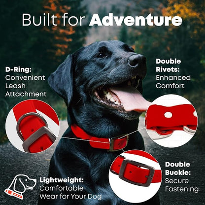 Regal Dog Products Small Red Waterproof Dog Collar and Leash Set | Heavy Duty Double Buckle & D Ring - 5'ft Leash | Adjustable Biothane Dog Collar | Chew Resistant Waterproof Collar for Dogs