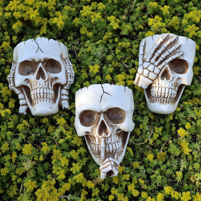 Dolkgy Skull Wall Planters Set of 3 – Hanging Skull Plant Pots for Indoor Outdoor Decor, White Gothic Wall Planter with Drainage, Succulent & Vine Planter for Halloween Home Décor