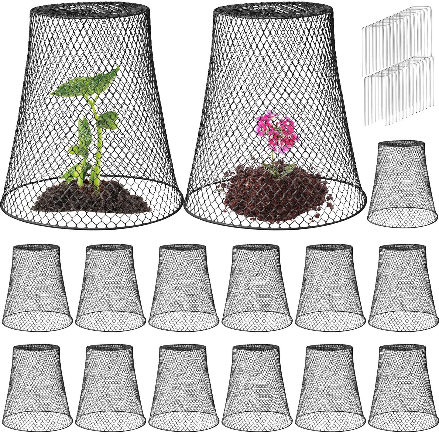 Therwen 15 Pcs Large Plant Wire Cloche 11 x 12 Inch Metal Garden Cloche with Garden Stakes Plant Protector from Animals for Keeping Bunnies Chicken Squirrels Birds (Black)