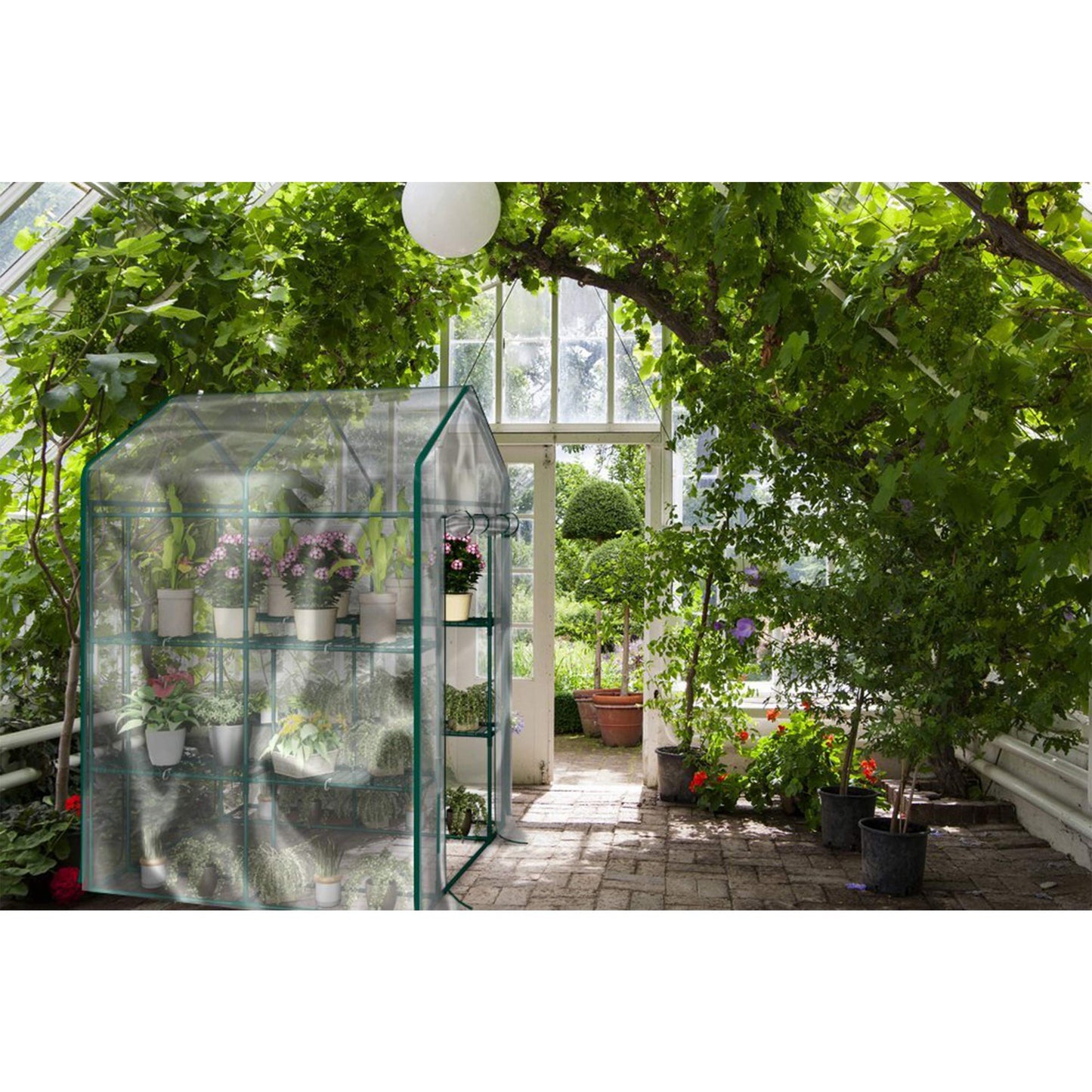 Greenhouse - Walk in Greenhouse with 8 Sturdy Shelves and PVC Cover for Indoor or Outdoor Use - 56 x 56 x 76-Inch Green House by Pure Garden
