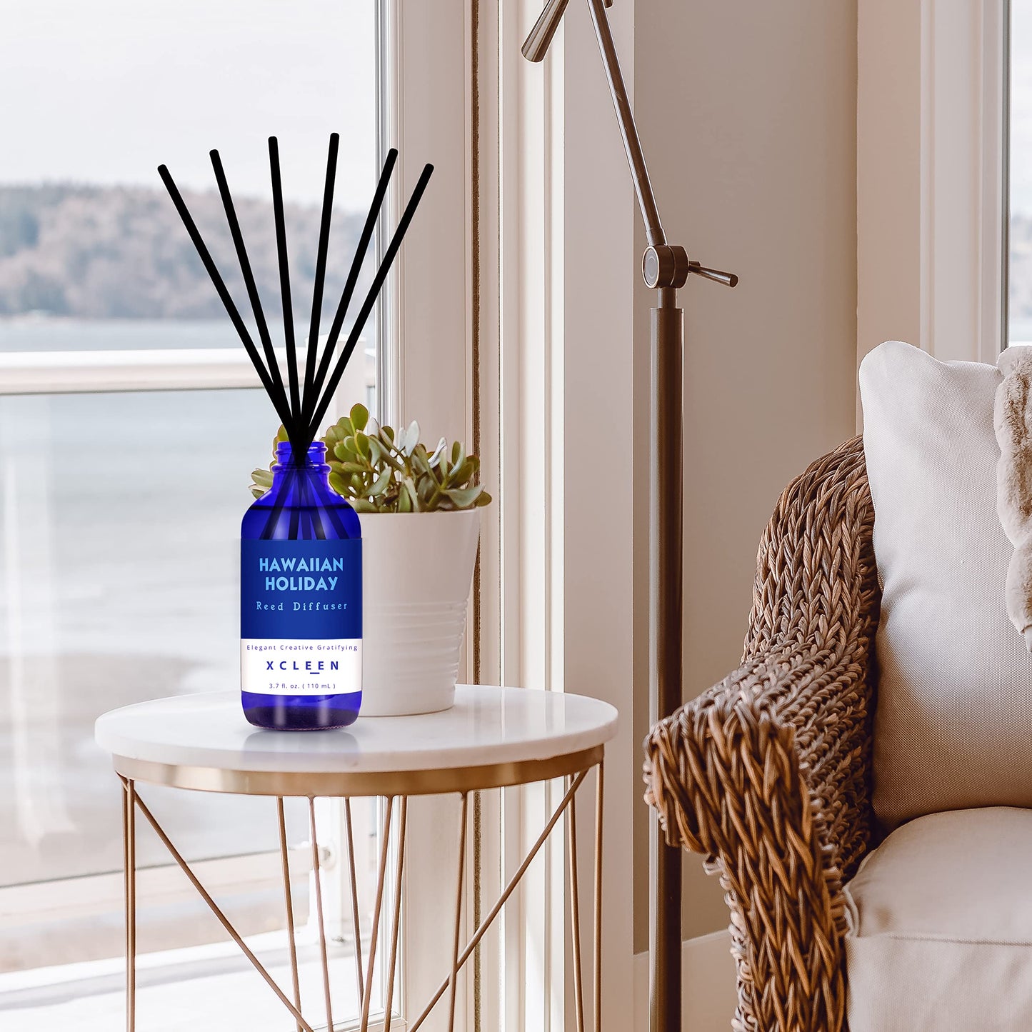 Reed Diffusers Set, 3.7 Oz Scent Diffuser, 6 Reed Diffuser Sticks, Home Fragrance Hyacinth, Peony & Citrus, Aromatherapy Oil Diffuser Reeds, More Masculine Scent, Bathroom & Office Decor 110ml