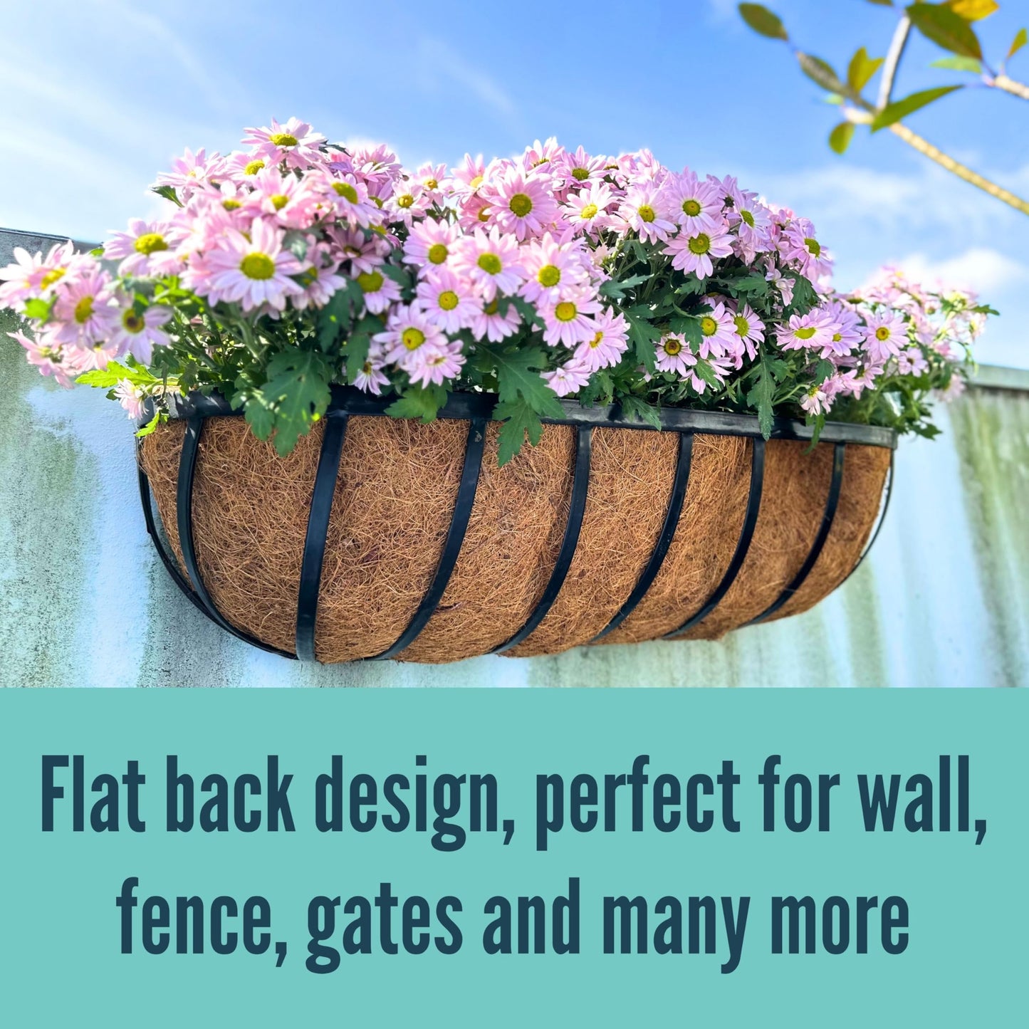 LaLaGreen Bundle- 4 Pack, 11 Inch Self Watering Hanging Basket + 2 Pack, 24 Inch Metal Basket with Coco Liner Wall Mount Fence Rail Planter Round Plastic Flower Pots Balcony Porch Patio Outdoor Garden