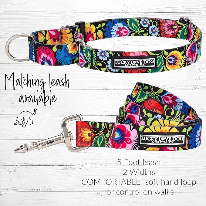 Lucky Love Dog Martingale Dog Collar - Adjustable, No-Slip, Durable, & Soft Webbing Collar for Male and Female Dogs Ideal for Training & Walking - Blackbird, Small