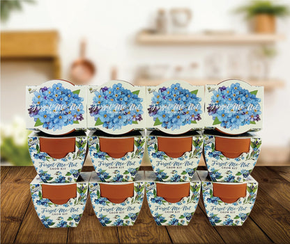 BUZZY Seeds Mini Terracotta Pots 12-Pack Daydream Forget-Me-Not Flowers, All-in-One Seed Starter Kits, Indoor Outdoor Gardening Gift, Wedding Favors, Seeds for Planting Flowers