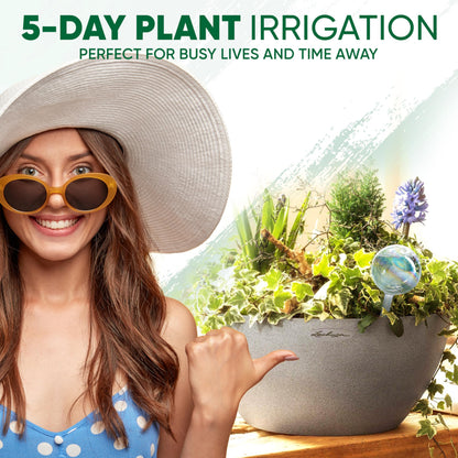 Mission Gallery Clear Plant Watering Globes Set of 2 - Small Self Watering Globes for Indoor & Outdoor Plants - Automatic Glass Watering Bulbs for Daily Use, Plant Watering Devices
