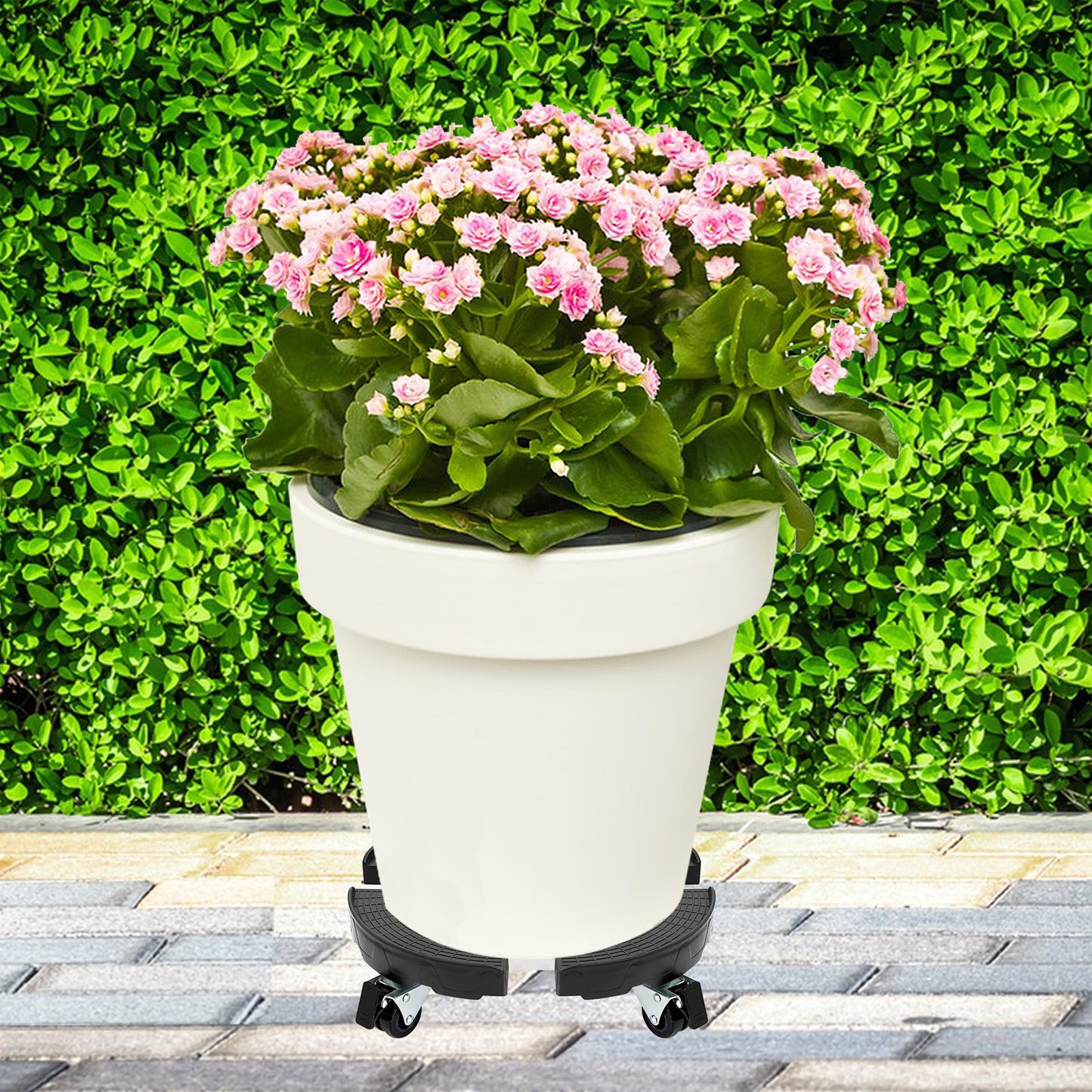 CASIMR Plant Stand with Wheels 2 Pack, Adjustable 15-21" Heavy Duty Plant Caddy with Casters, 440lb Capacity Indoor Outdoor Large Potted Planter Cart Dolly, Rolling Plant Stand for Flower Pot