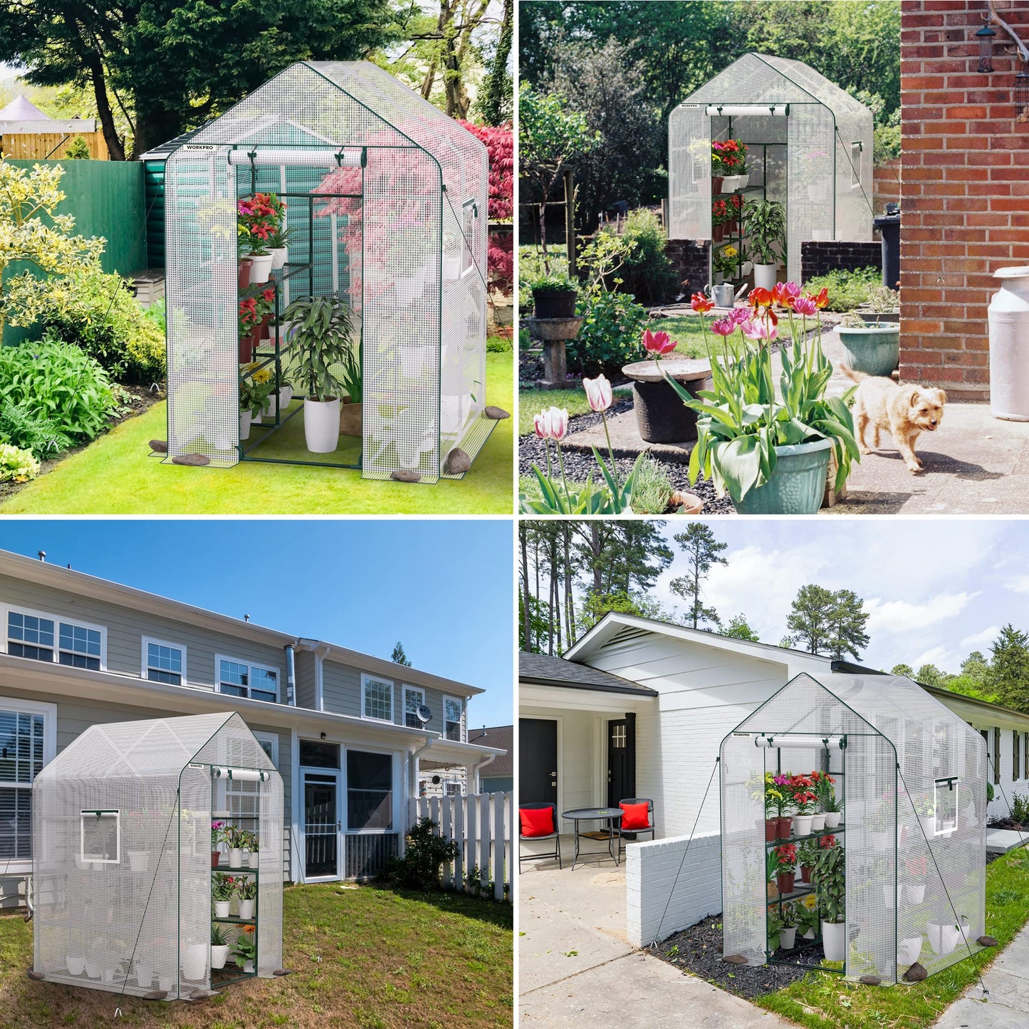 WORKPRO Greenhouse, 56” x 56” x 77” Heavy Duty Walk in Greenhouses for Outdoors with Screen Windows, Thicken PE Cover, 3 Tier 8 Shelves Portable Green House Kit for Patio, Backyard and Porch