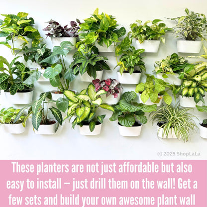 LaLaGreen Bundle- 10 Pack, 6 Inch Black + 10 Pack, 11.8 Inch White Metal Pot Wall Mount Hanging Window Flower Plant Herb Boxes Famhouse Style Balcony Garden Decor Outdoor Rail Fence Patio Porch Deck