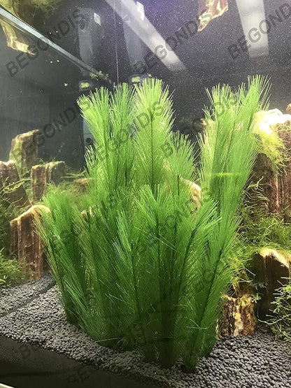 Aquarium Decorations 3Pcs Fish Tank Artificial Green Water Plants Made of Silk Fabrics Plastic