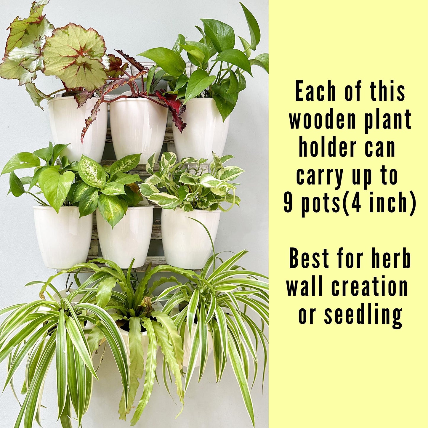 ShopLaLa Bundle- 4" White Self Watering Plastic Pots x 10 Pack + White Wooden Hanging Planters x 2 Pack Vertical Wall Mounted Pot Holder Indoor Plants Modern Hydroponic Herb Succolent Garden LaLaGreen