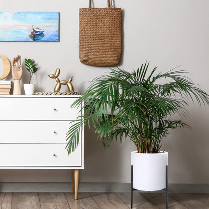 D'vine Dev Modern White Plants Pot Cylinder Planter with Heavy Duty Stand, Large 12 Inch Pot, 18.9 Inch with Stand Height, 96-T-A-3