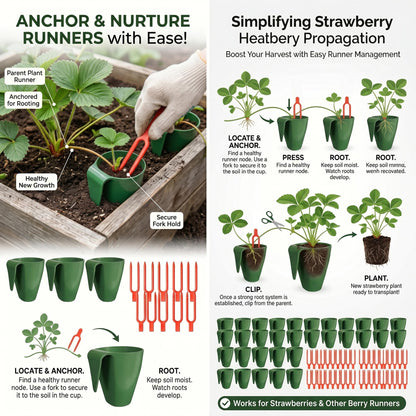 Neptuiby Propagation Cups, 20PCS Small Strawberry Propagation Cups with 50 Vine Press Forks Plastic Planter for Runner Rooting & Transplanting..