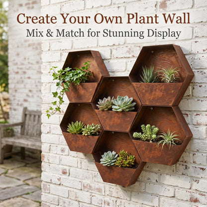 Topadorn Rustic Metal Wall Planter, 12 Inch Hexagon Hanging Planter with Patina Finish, Geometric Wall Mounted Plant Holder for Indoor & Outdoor Vertical Garden Décor, Farmhouse Wall Decor