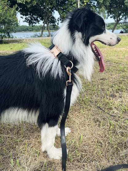 Dog Collar and Leash Set.Soft and Easy to Clean Vegan Leather with Rose Gold Metal Buckle for Small Medium Large Dogs (Black, S(12.2"-16.9"))
