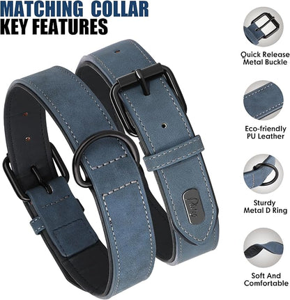 Didog Soft Padded Leather Dog Collar and Leash Set, Adjustable Dog Leash and Collar Set with Metal Buckle, Breathable Dog Collars with 4FT PU Leather Dog Leash for Medium Large Dogs, Blue, L