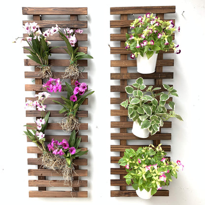 LalaGreen Bundle- 10 Pack, 4 Inch Black Self Watering Plant Pot + 2 Pack, 35.4 Inch Wooden Plant Holder Modern Indoor Hanging Wall Mount Vertical Hydroponic Garden Display Large Home Air Plant Decor