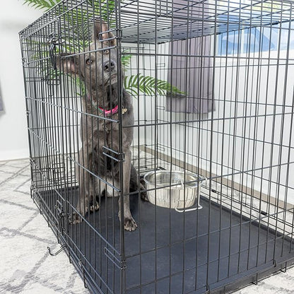 SPOT Coop Cup Wire Hanger - Stainless Steel Hanging Bowl for Pet Crates, Easy Install, Chew-Proof, Removable Water/Kibble Bowl for Medium Dogs, Cats, Large Birds, Reptiles - 3.75 Cups (30 Oz)