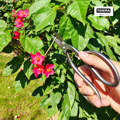 TONMA Ashinaga Bonsai Scissors [Made in Japan] 8 inch Soild Stainless Steel Hasami Pruning Shears Ultra Sharp & Rust-proof, Japanese Bonsai Garden Tools