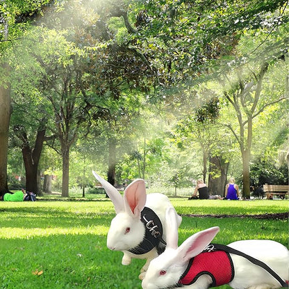 2 Pack Adjustable Bunny Rabbit Harness and Leash Set Breathable Mesh Vest Harness for Rabbits Kitten Ferret Puppy Small Pets Walking Supplies-Black&Red,L