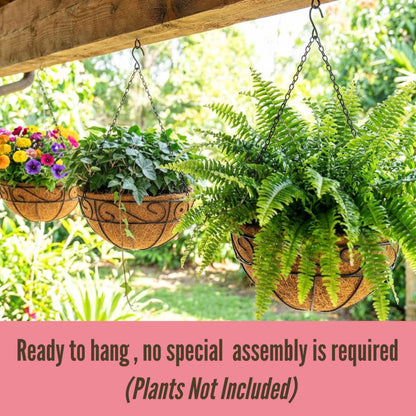 LaLaGreen Hanging Planter for Outdoor Plants (20 Inch, 2 Pack) Hanging Baskets with Coco Liner, Black Metal Wire Flower Basket Pots with Hook Hanger Balcony Porch Farmhouse Country Style Garden Decor
