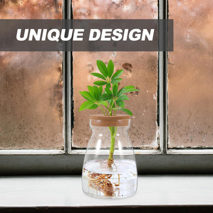 CONGARTENO Glass Flower Vase Hydroponic Succulent Planter Large Trapezoid Glass Vase with Wooden Stopper 3cm Hole for Indoor Plant Terrarium and Floral Arrangement
