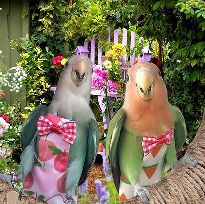 5 Pcs Bird Diapers Bird Harness Flight Suits Diapers Reusable Parrot Nappy with Waterproof Inner Layer Washable Cute Urine Wet Suit for Cockatiel Budgie Conure Macaw Parakeet Lovebird,L