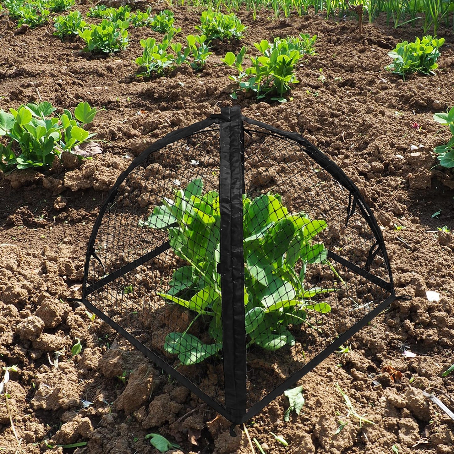Strawberry Plant Protector,22 x22 x 22 Inch Cloche Dome for Plants,Plant Protection Tent For Plant Cages to Keep Animals Out,Mesh Plant Cover for Plant Protectors from Animals,Chicken Wire Cloche 1PC