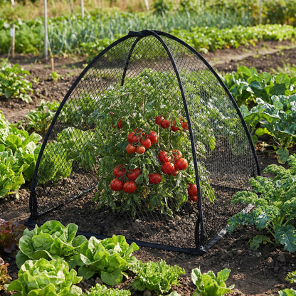 DECOHS 2 Pcs Pop-Up Mesh Plant Cover Tent, 30 x 28 x 28 Inch Garden Net Cage Guard Cover, Plant Protector Enclosure with 12 Ground Stakes for Protecting Plants Vegetable Fruit from Birds Insects