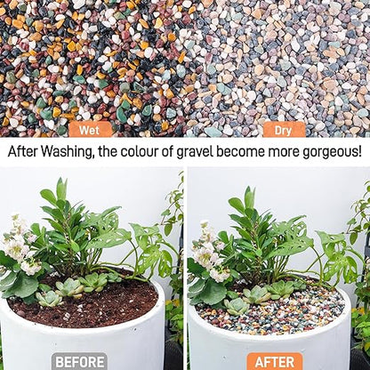 CJGQ 2.4lb Aquarium Gravel for Plants, 1/4Inch Fish Tank Gravel for Succulent Cactus and Bonsai, Decorative River Rocks Pebbles for Gardening, Flower Pots, Landscaping,Terrarium