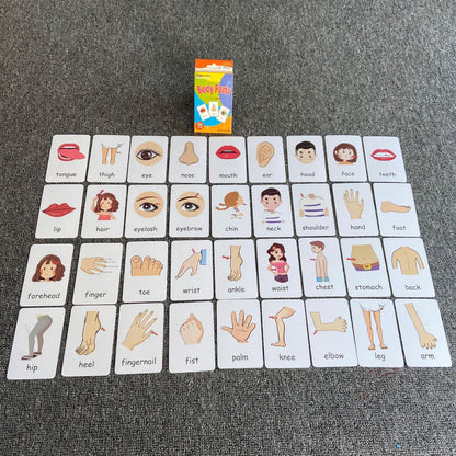 Flash Cards for Toddlers, Educational Learning Set of 144, Body Animal Food Fruit Cards, Ages 2-6, Montessori Preschool Learning Toys for Kindergarten (Orange, Pocket-Size)