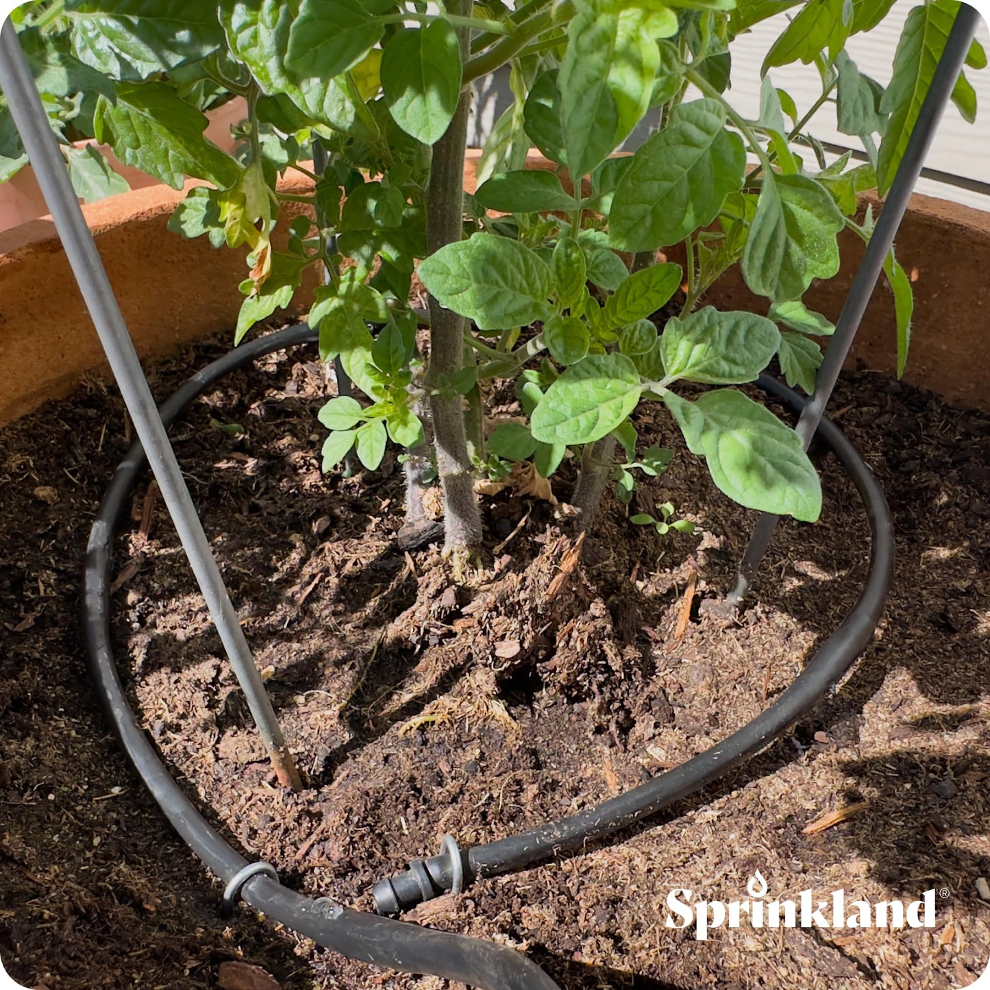 Sprinkland® 1/4" Dripline | Made in USA | 100' ft. Roll | 6" Emitter Spacing | Drip Irrigation Fittings Included