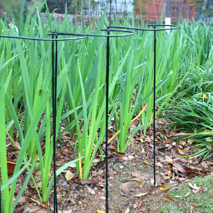 TCBWFY 14" Dx32 H Plant Supports Stakes for Large Heavy Plants,10Pack Peony Supports,Heavy Duty 5mm Wire Peony Cages,Interlock Garden Supports Ring Border Support,Plant Support Cage for Rose Flower