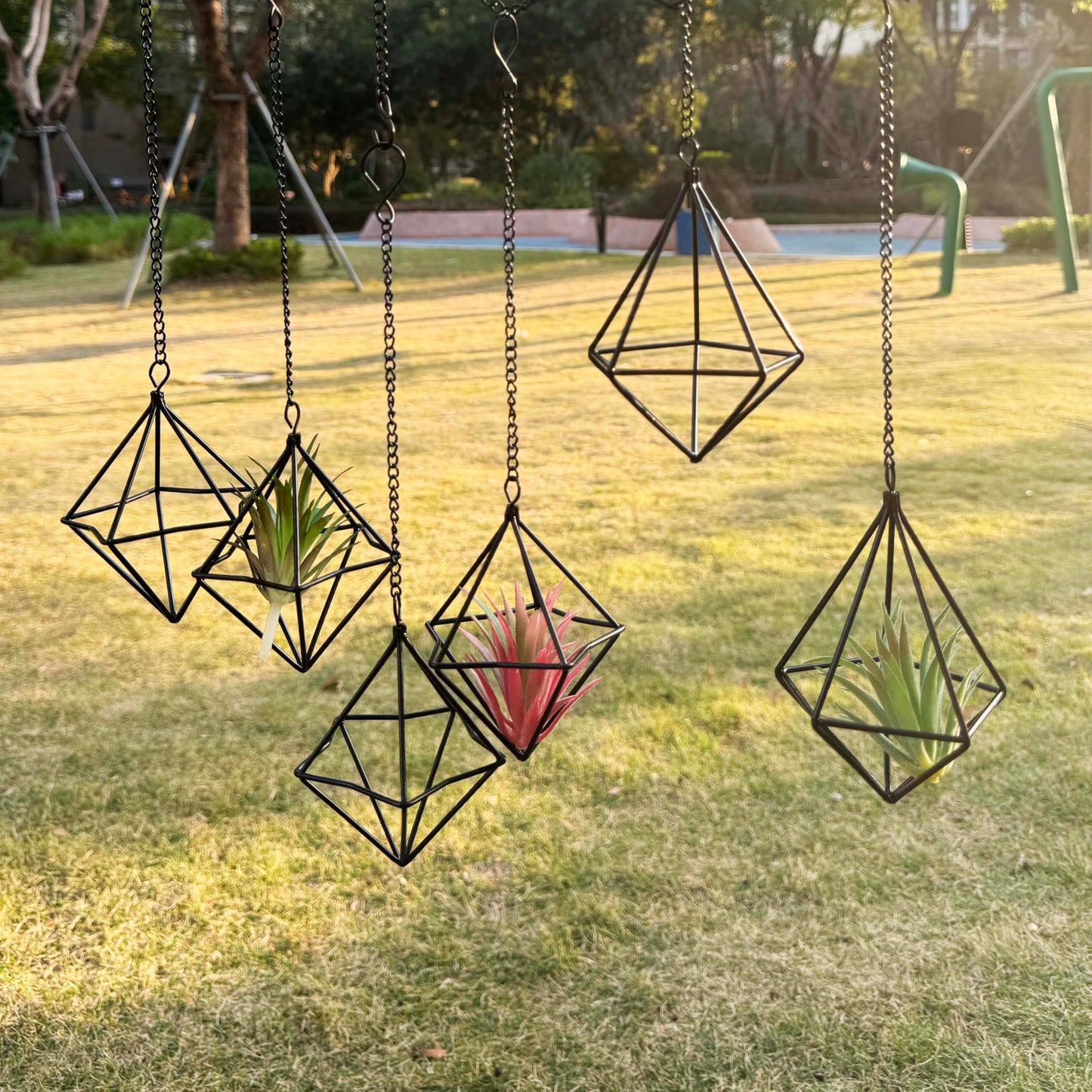 PUDAPU Clearance 6 Pack Hanging Metal Air Plant Holders with Chain, Black Geometric Tillandsia Air Plant Hanger Cages, 2 Styles Mini Iron Air Plants Live Holders for Home Office Garden Decor