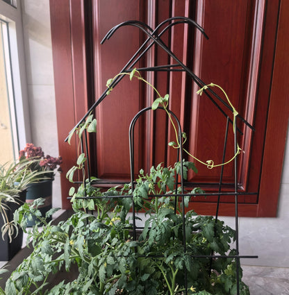 ARIFARO 24" Metal Garden Trellis for Climbing Plants, 4 Pack Plant Trellis for Potted Plants, Indoor Outdoor Black Trellis for Vines, Flowers, House Plants, 10" Wide