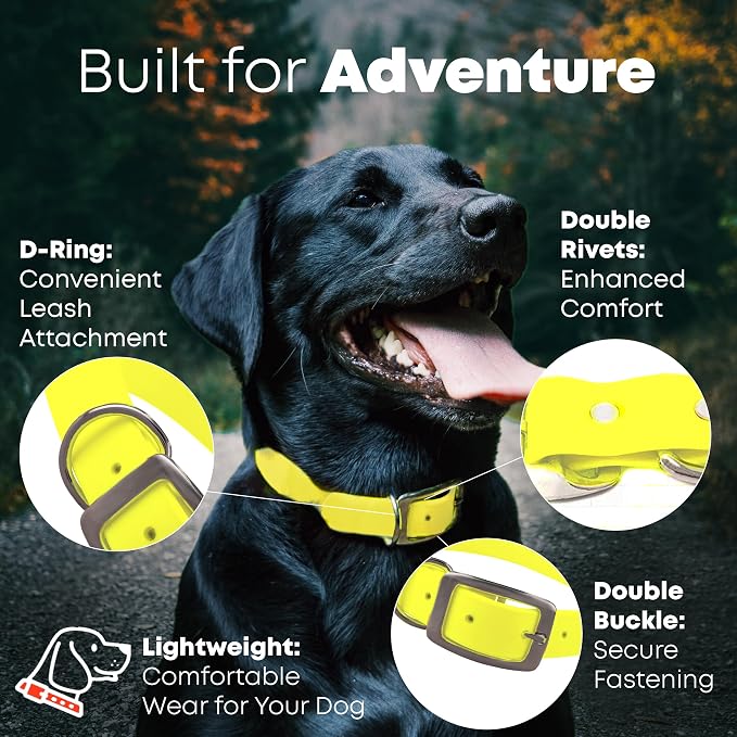 Regal Dog Products Medium Yellow Dog Collar with Heavy Duty Double Buckle & D Ring | Vinyl Coated, Custom Fit, Adjustable Biothane Dog Collar Chew Resistant Waterproof Collar for Dogs