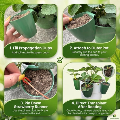 Xoeryoy Strawberry Propagation Cups, 20 Pack Large Plastic Plant Cups with 50 Runner Forks Breathable Pots for Berry Plant Rooting, Space-Saving Hanging Design, L