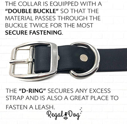 Regal Dog Products Medium Black Waterproof Dog Collar and Leash Set | Heavy Duty Double Buckle & D Ring - 5'ft Leash | Adjustable Biothane Dog Collar | Chew Resistant Waterproof Collar for Dogs