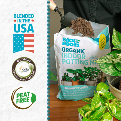Back to the Roots 100% Organic Indoor Potting Mix (6 Quart), Promotes Healthy Houseplant Growth, Made in The USA