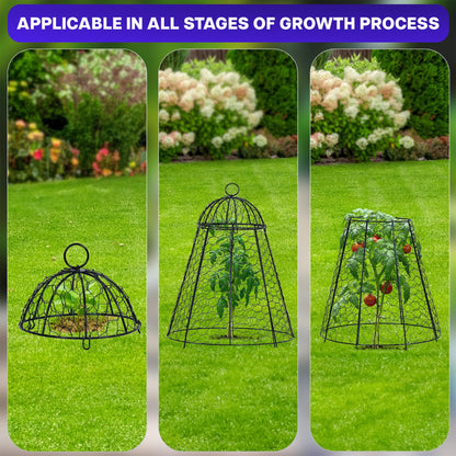 Life Finds Chicken Wire Garden Cloche Set, Protective Plant Cover for Flowers and Produce with Removable Top, Protection from Animals, Pack of 6, LF-GC6P