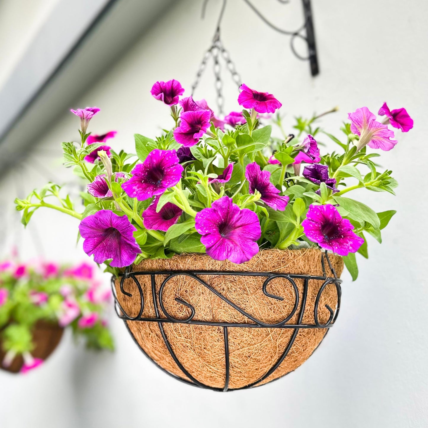 LaLaGreen Hanging Planter for Outdoor Plants (20 Inch, 2 Pack) Hanging Baskets with Coco Liner, Black Metal Wire Flower Basket Pots with Hook Hanger Balcony Porch Farmhouse Country Style Garden Decor
