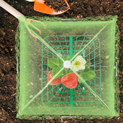 NODMIPNS 4 Sets Strawberry Plant Support with Mesh Cover - Square Gardening Frame, Animal Barrier, Iron Stakes & Storage Bag for Healthy Strawberries, Tomatoes, Veggies (Green) (4 pcs)