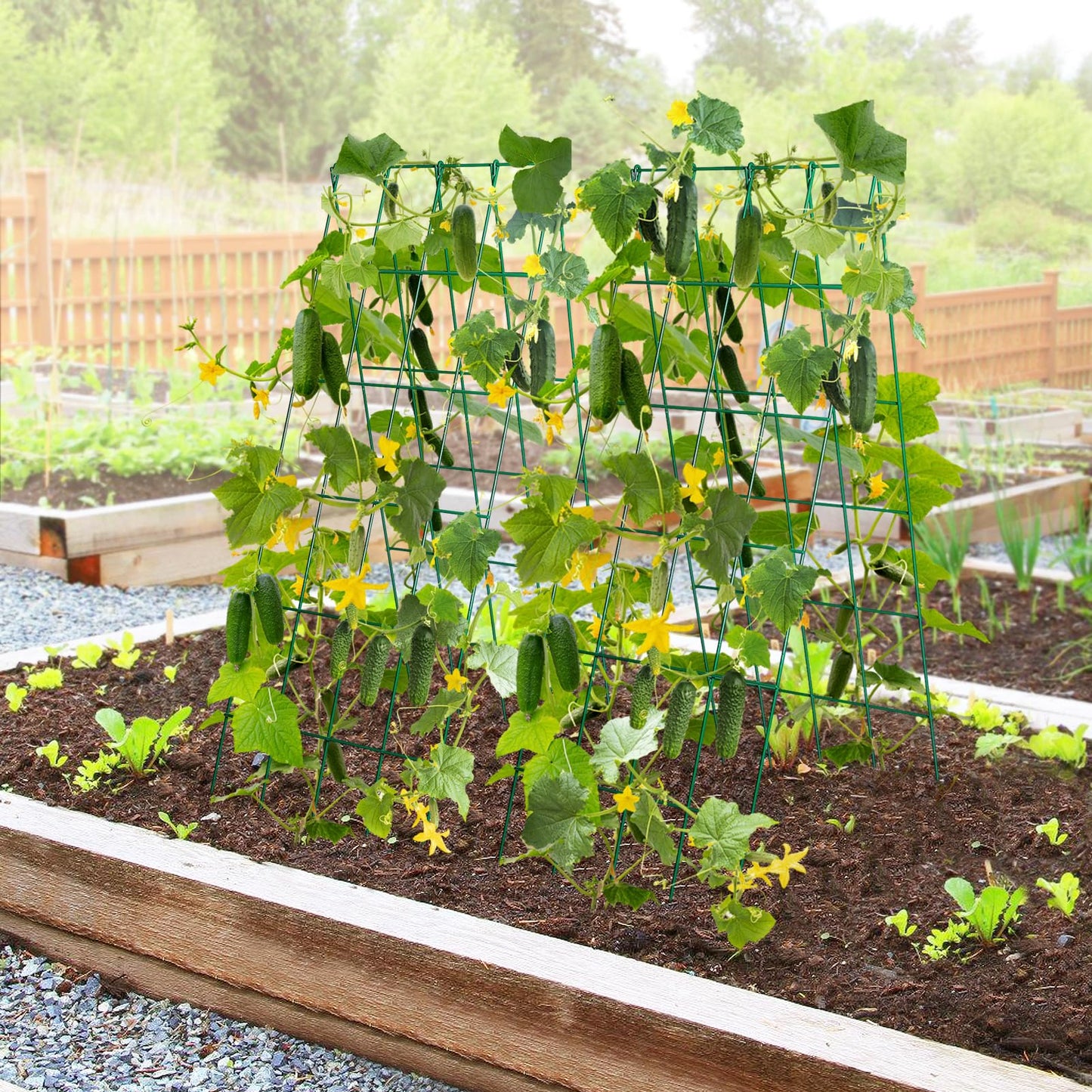 2Sets Stable Cucumber Trellis - 39.3" L x15.7'' W Foldable Garden Trellis for Raised Bed, A-Frame Metal Plant Support Trellis with Ties for Bean Raspberry Squash Climbing Plants Outdoor