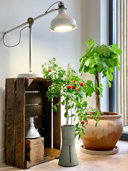 Botanium Hydroponic and Automatic Indoor Gardening Pot, Grey