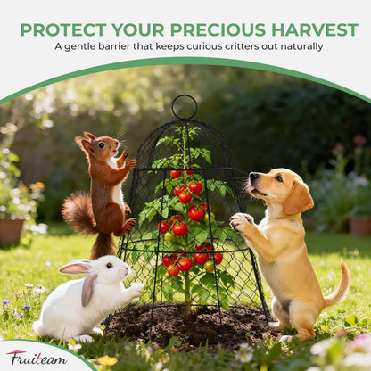 FRUITEAM Metal Plant Covers 6pcs, Heavy Duty Garden Cloche Plant Cage for Outdoor, 13"x15.8"H Rust-Proof Plant Protectors from Animals for Vegetables, Flowers, Seedlings Against Rabbits, Squirrels