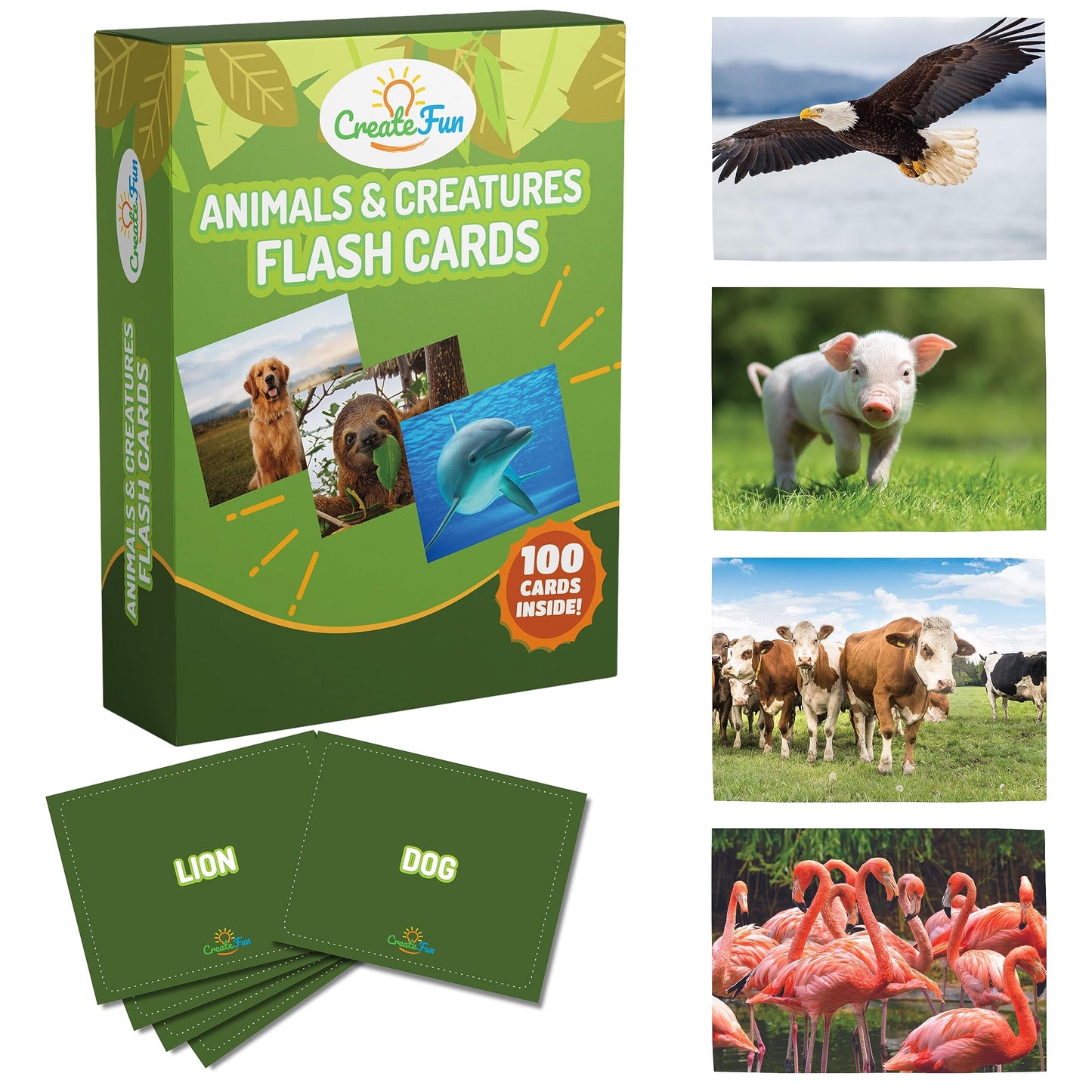 100 Animal, Insect & Ocean Creatures Flash Cards, Realistic Pictures for Fun Learning & Montessori Educational Vocabulary Builder for Preschool Kids, Adults, Schools, Autism, Speech Therapy, ESL, SLP
