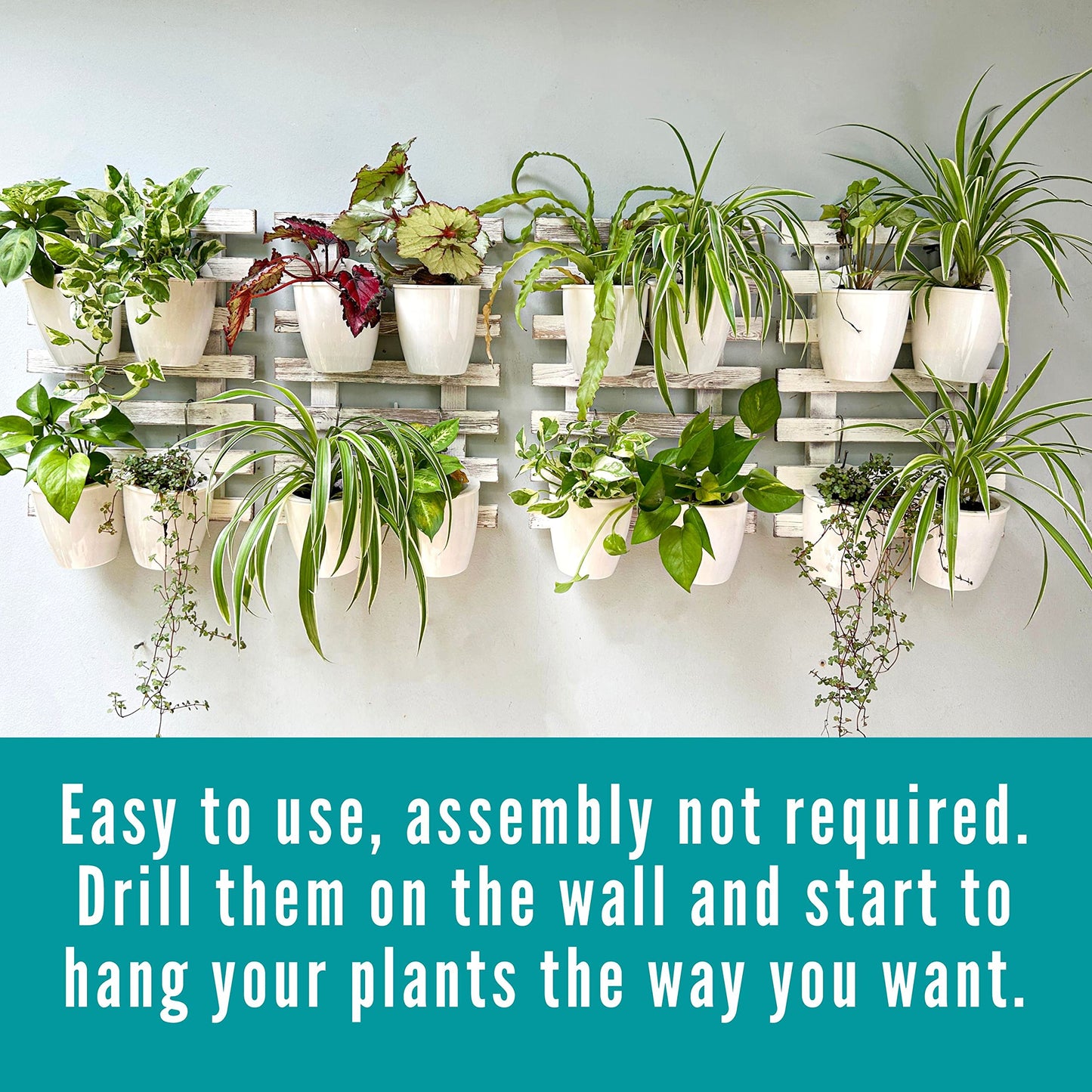 LaLaGreen Bundle- 10 Pack, 5 Inch Self Watering Plastic Pot + 2 Pack, 15.7 Inch Rustic Wooden Plant Holder Wall Mount Vertical Live Eco Garden System Trendy Herb Orchid Airplant Hanging Frame Display