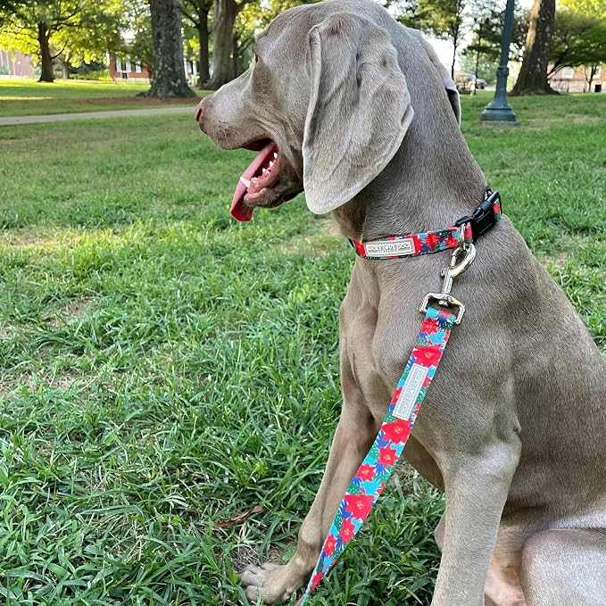 Lucky Love Dog - Adjustable Dog Collar with Easy Click Noel for Small Dogs, Durable, & Comfortable for Male & Female Dogs, Pet Collar for Puppies & Adult Dogs - Noel, Small