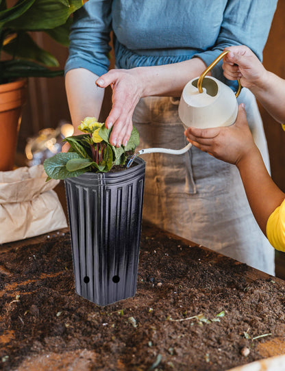 Miewslan 25 Pcs Plastic Deep Plant Nursery Pots, 9.8" Tall Tree Pots Black Deep Seedling Container Pots with Drainage Holes for Indoor Outdoor Garden Plants (25 Pcs)