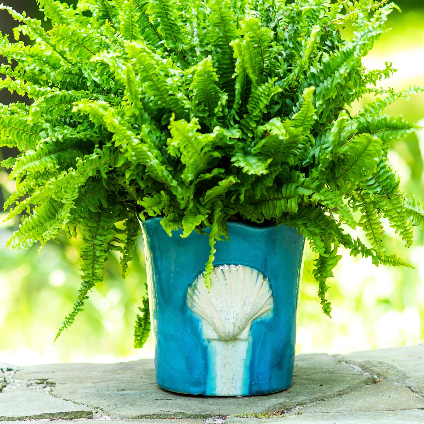 Euro Ceramica Ocean Grotto Seashell Scalloped Planter – 8” Decorative Ceramic Planter Pot with Drainage Hole | Nautical Coastal Decor for Indoor & Outdoor Plants