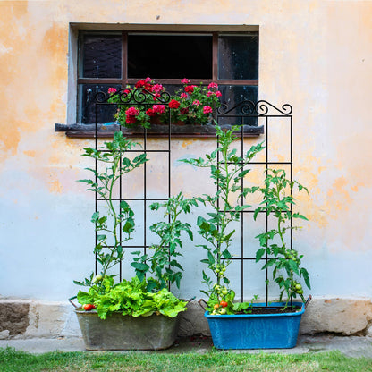 ARIFARO 57.5'' Metal Garden Trellis for Climbing Plants,(Pack of 4) Indoor/Outdoor Sturdy Plant Trellis for Potted Plants,House Plants, Climbing Vines, Black